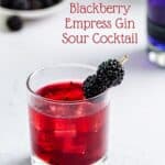 photo of reddish-purple colored cocktail with the text "Blackberry Empress Gin Sour Cocktail" on top