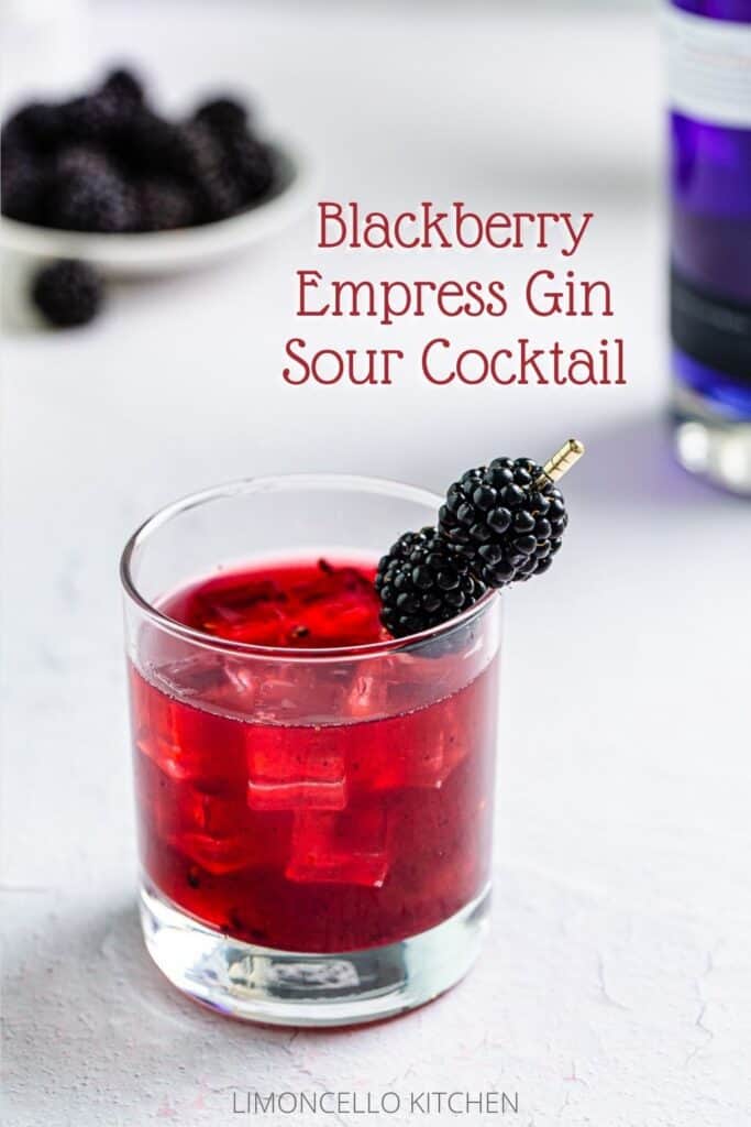 photo of reddish-purple colored cocktail with the text "Blackberry Empress Gin Sour Cocktail" on top