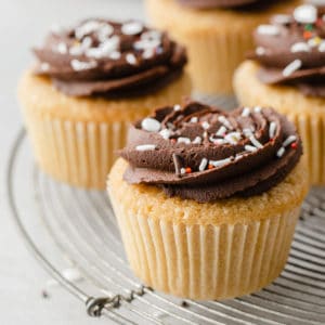 close up of dairy free cupcakes with ganache frosting