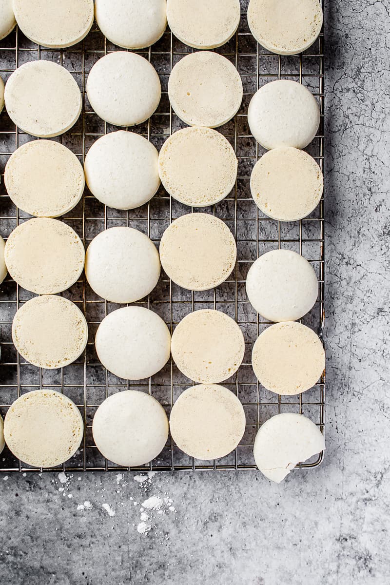 macaron shells lined up on a cooling rack and one has a bite taken out