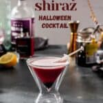 red cocktail in a martini glass with the text "bloody shiraz halloween cocktail"