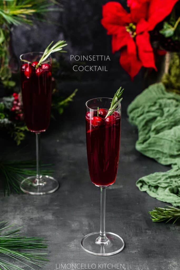 two poinsettia cocktails surrounded by winter greenery and a poinsettia flower