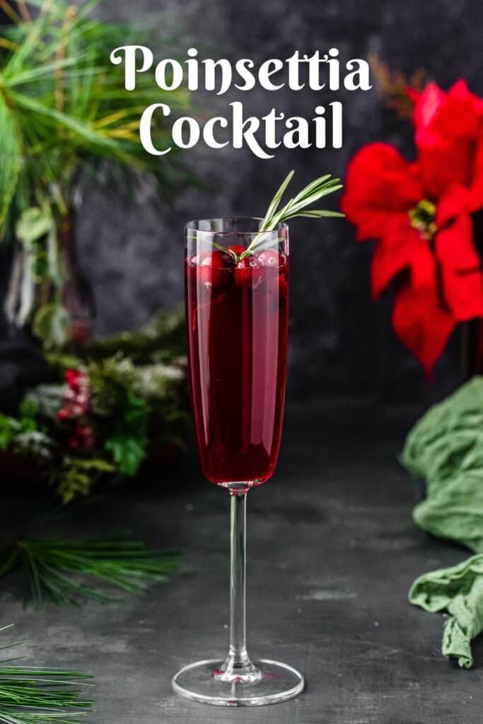 Side view of Poinsettia Cocktail in a champagne flute. The drink is deep red in color and has fresh cranberries and rosemary garnish. Text above the drink says "Poinsettia Cocktail". in the background are some evergreens and poinsettia flowers.