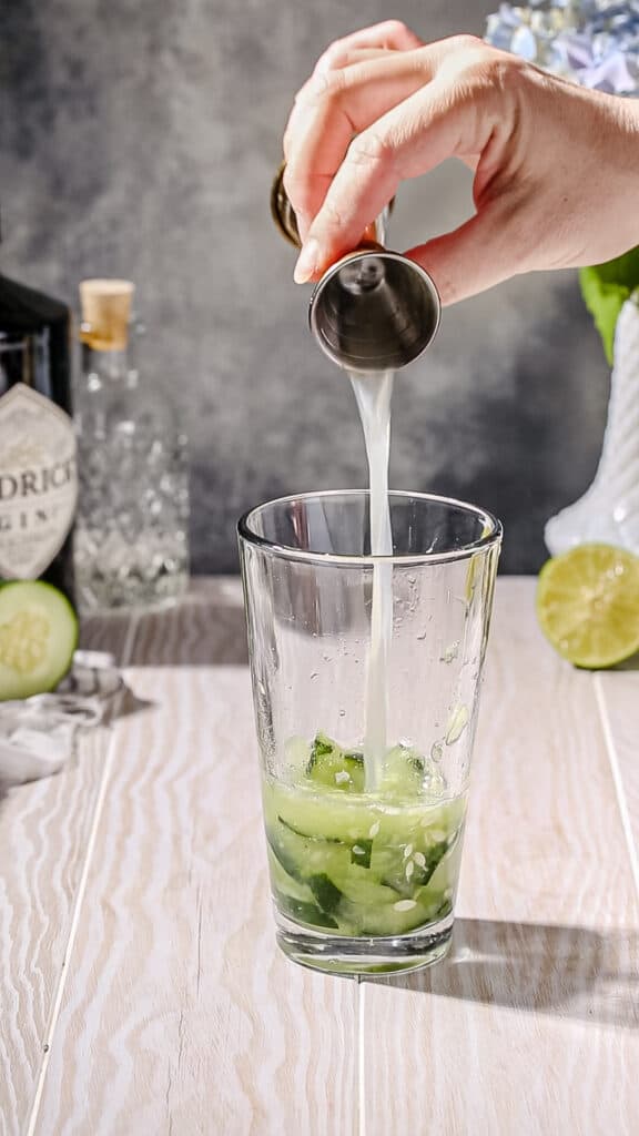 Cucumber Gin Spritzer