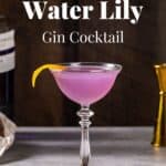 Purple water lily cocktail on a gray countertop. Text overlay reads "water lily gin cocktail".