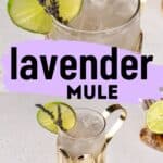 Close up of a lavender mule cocktail on the top with a further away shot of the full cocktail on the bottom. A lavender colored paint swash is in the middle with text overlay that says "lavender mule" in the middle in black text.