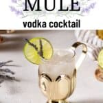 Text at the top reads "lavender mule vodka cocktail" with a background of lavender flowers. Underneath that a photo of a lavender mule cocktail in a gold and glass cocktail mug. Dried lavender and lime are the cocktail garnishes.