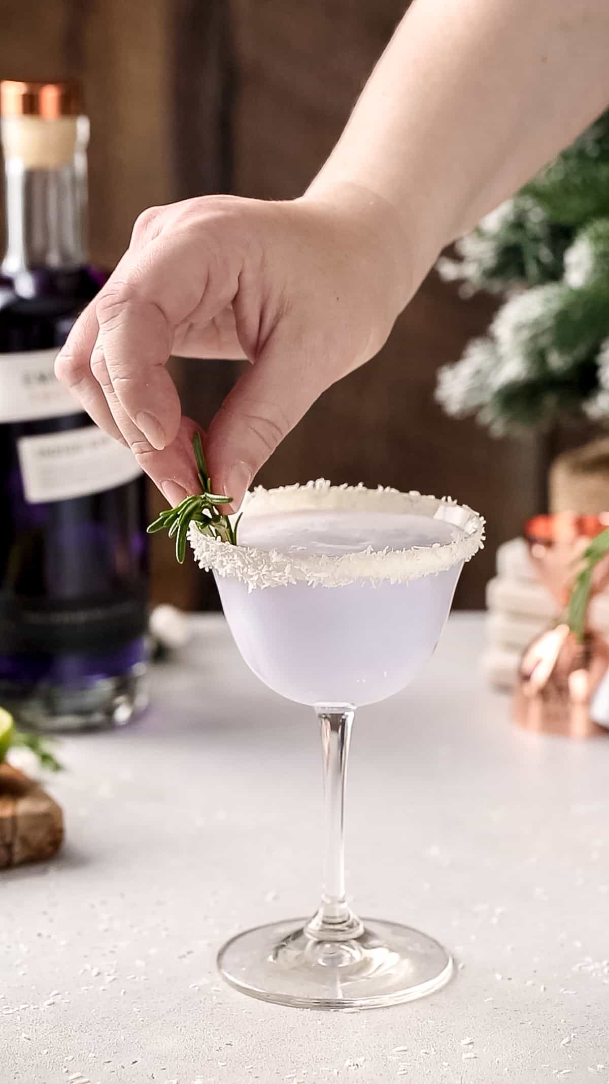 Hand adding a rosemary sprig to a purple cocktail in a coupe glass with a coconut rim.