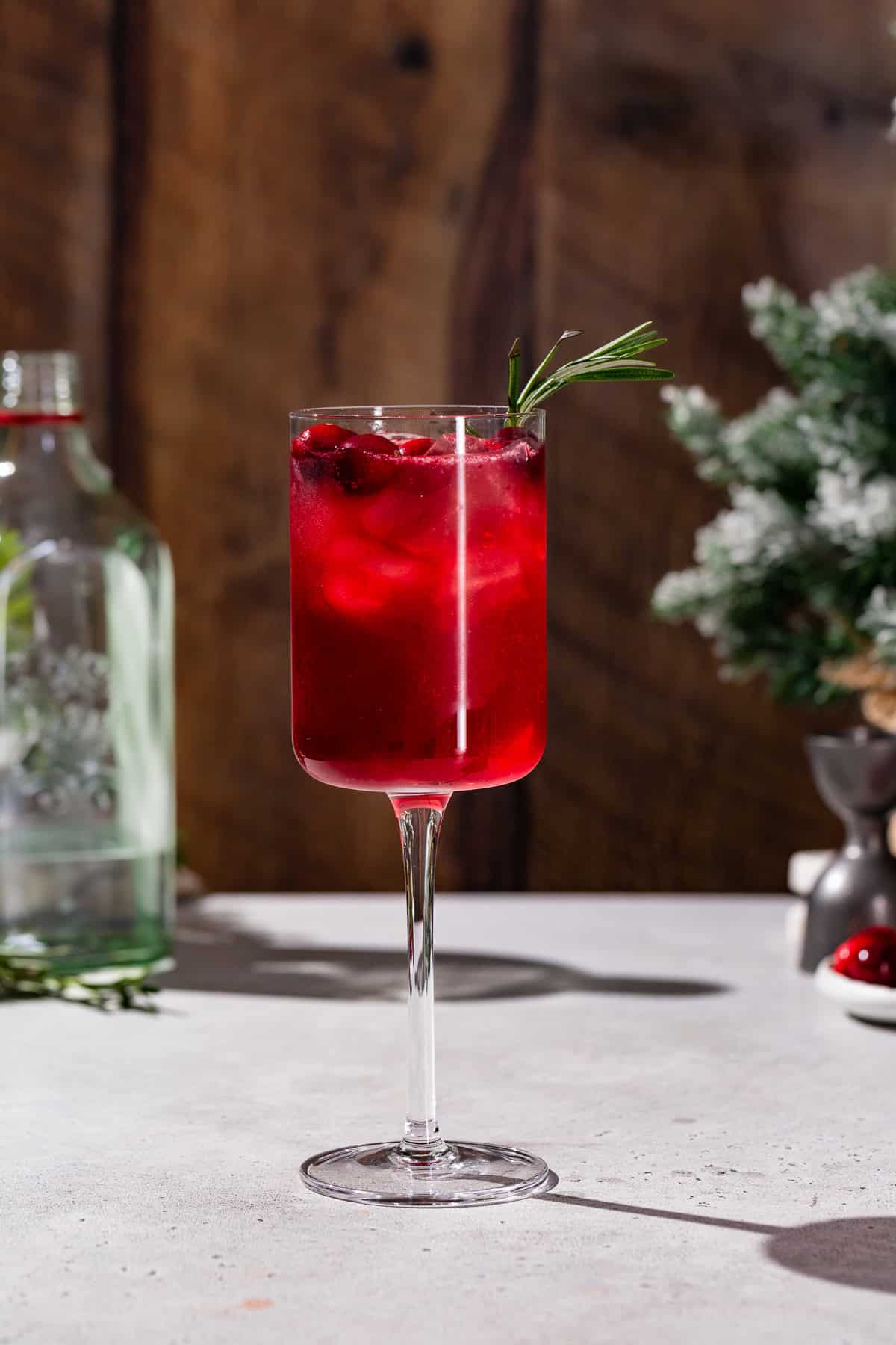 Side view of a Holiday Gin & Tonic cocktail with rosemary garnish.