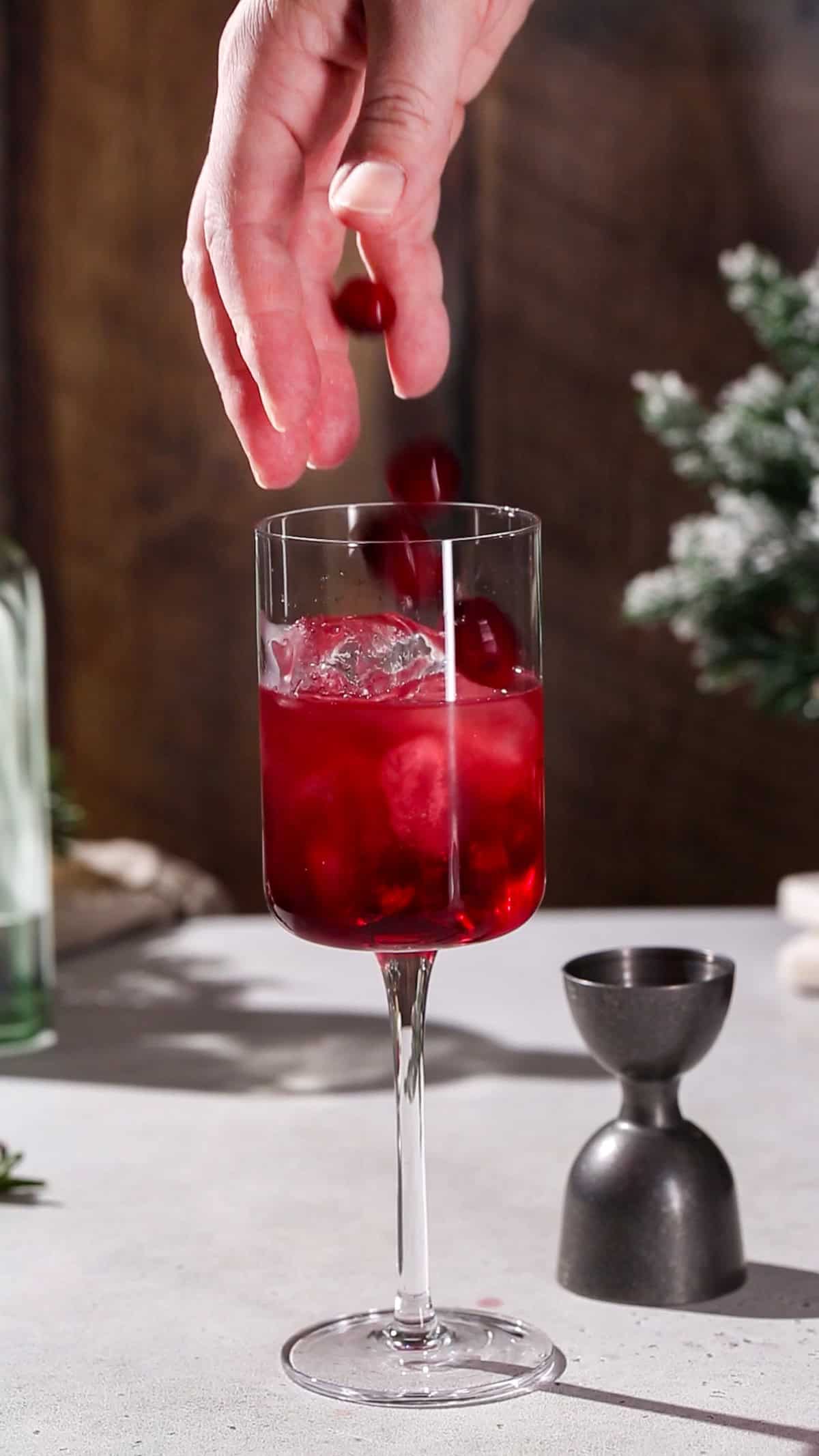 Hand adding fresh cranberries to the top of a red colored drink.