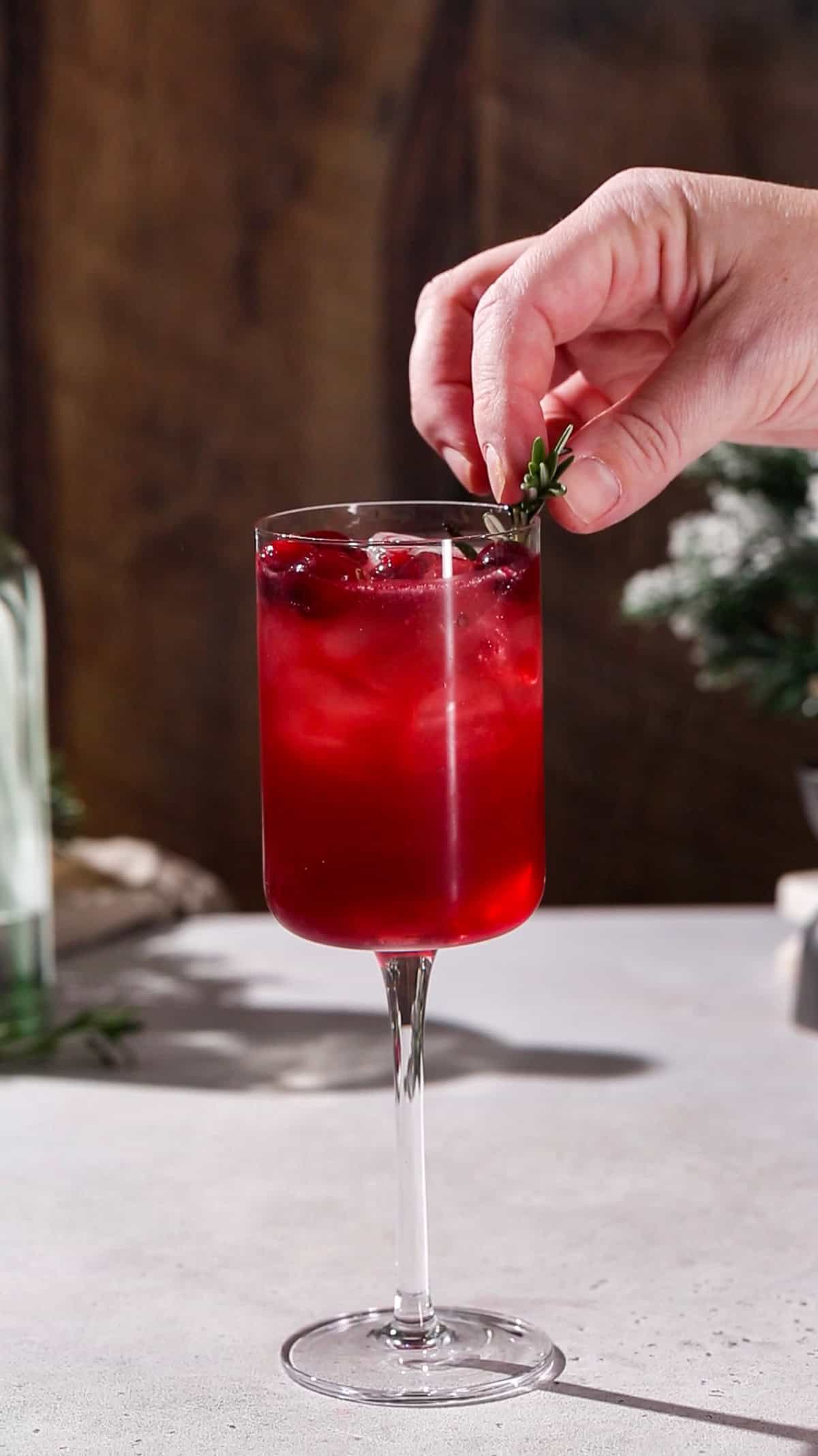 Hand adding fresh rosemary garnish to a red cocktail.