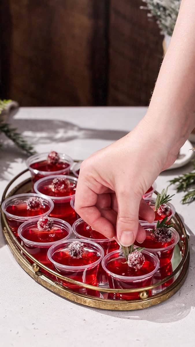 Hand adding a piece of fresh rosemary to a Cranberry Christmas Jello Shot.