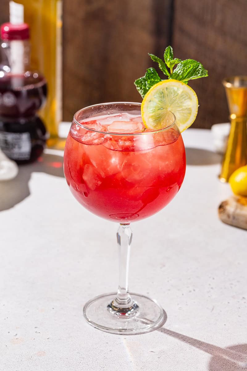 Pomegranate Spritzer Mocktail with a lemon slice and mint sprig garnish.