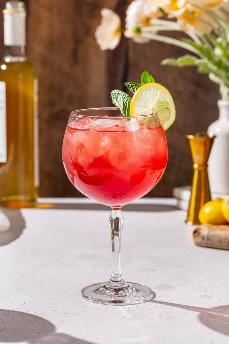 Side view of a Pomegranate Spritzer Mocktail.